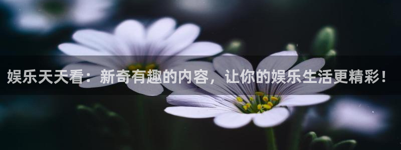 天辰娱乐平台最新版本下载：娱乐天天看：新奇有趣的内容，让你的娱乐生活更精彩！
