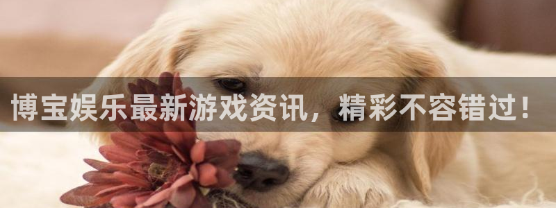 天辰娱乐.ccmpc正版：博宝娱乐最新游戏资讯，精彩不容错过！