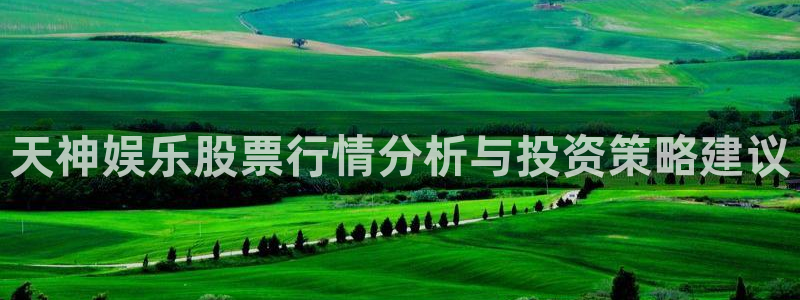 天辰娱乐登录：天神娱乐股票行情分析与投资策略建议