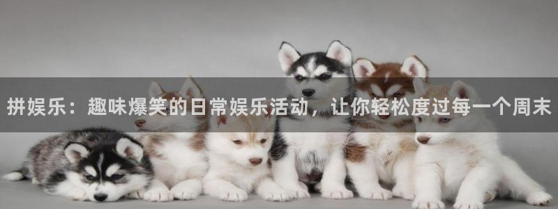 天辰娱乐3平台登录注册：拼娱乐：趣味爆笑的日常娱乐活动，让你轻松度过每一个周末