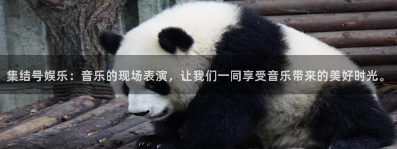 天辰娱乐登录界面入口：集结号娱乐：音乐的现场表演，让我们一同享受音乐带来的美好时