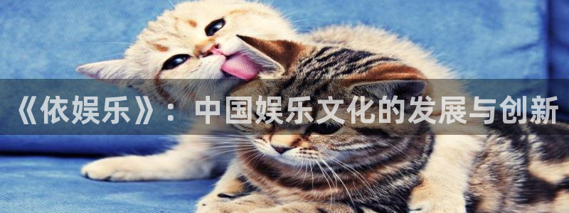 天辰娱乐平台官网版下载：《依娱乐》：中国娱乐文化的发展与创新