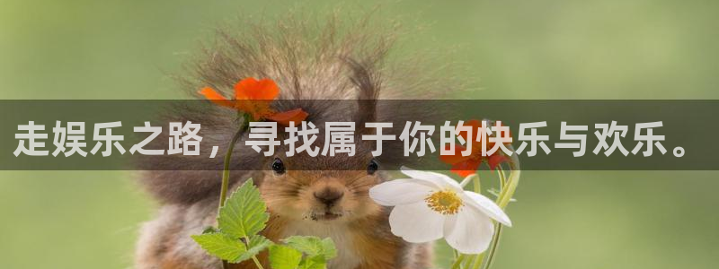 天辰娱乐环保：走娱乐之路，寻找属于你的快乐与欢乐。