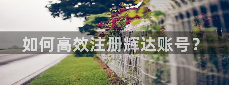 天辰娱乐网站登录流程：如何高效注册辉达账号？