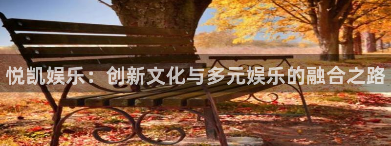 天辰娱乐体育凯捷登陆：悦凯娱乐：创新文化与多元娱乐的融合之路