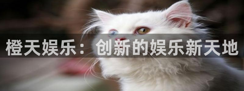 天辰娱乐注册登录入口：橙天娱乐：创新的娱乐新天地