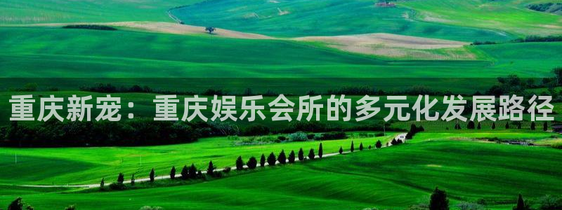 天辰娱乐2注册：重庆新宠：重庆娱乐会所的多元化发展路径