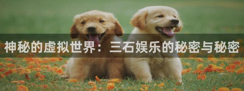 天辰娱乐k：神秘的虚拟世界：三石娱乐的秘密与秘密