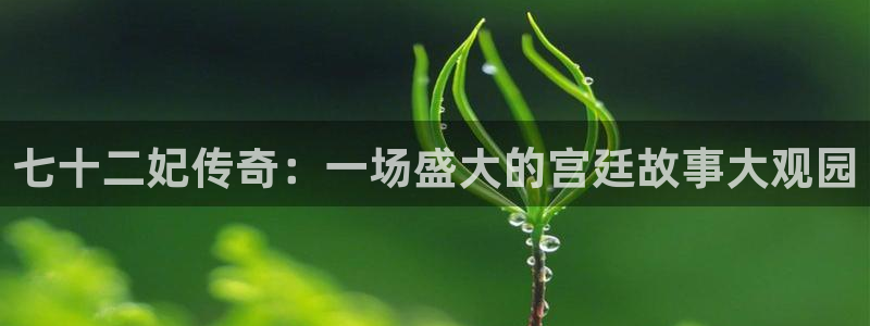 天辰娱乐平台链接：七十二妃传奇：一场盛大的宫廷故事大观园