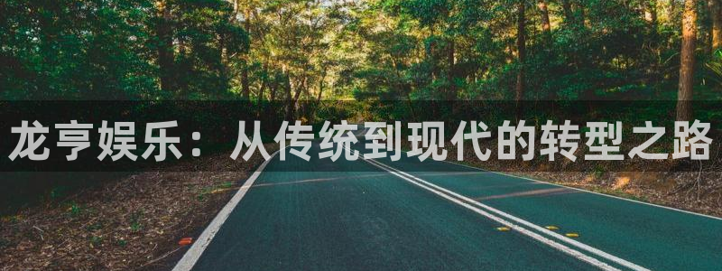 天辰娱乐链接：龙亨娱乐：从传统到现代的转型之路