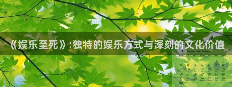 天辰娱乐官方网站：《娱乐至死》:独特的娱乐方式与深刻的文化价值