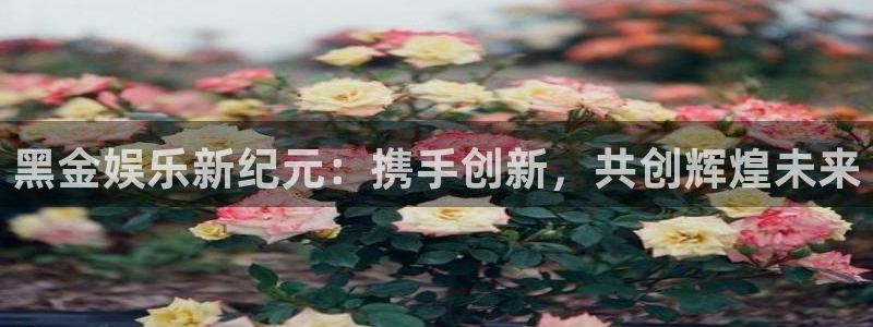 天辰娱乐体育凯捷平台主管：黑金娱乐新纪元：携手创新，共创辉煌未来