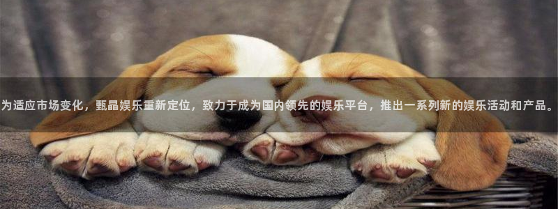 天辰娱乐登陆：为适应市场变化，甄晶娱乐重新定位，致力于成为国内领先的娱乐平台，推