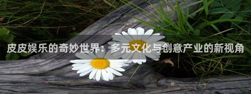 天辰娱乐平台：皮皮娱乐的奇妙世界：多元文化与创意产业的新视角